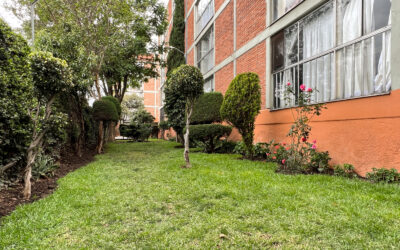 ¿BUSCAS VIVIR EN LAS ÁGUILAS? DEPARTAMENTO EN RENTA EN LAS AGUILAS